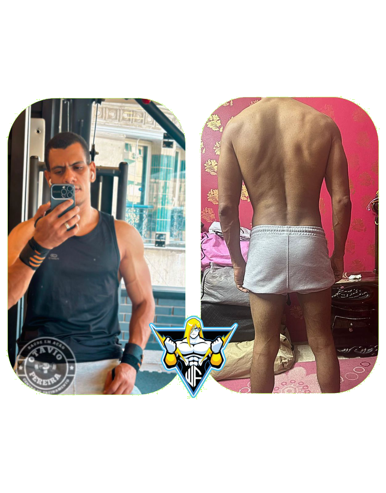 gempages_533918500628988698-27523944-cd36-472a-a947-d5db87da3568