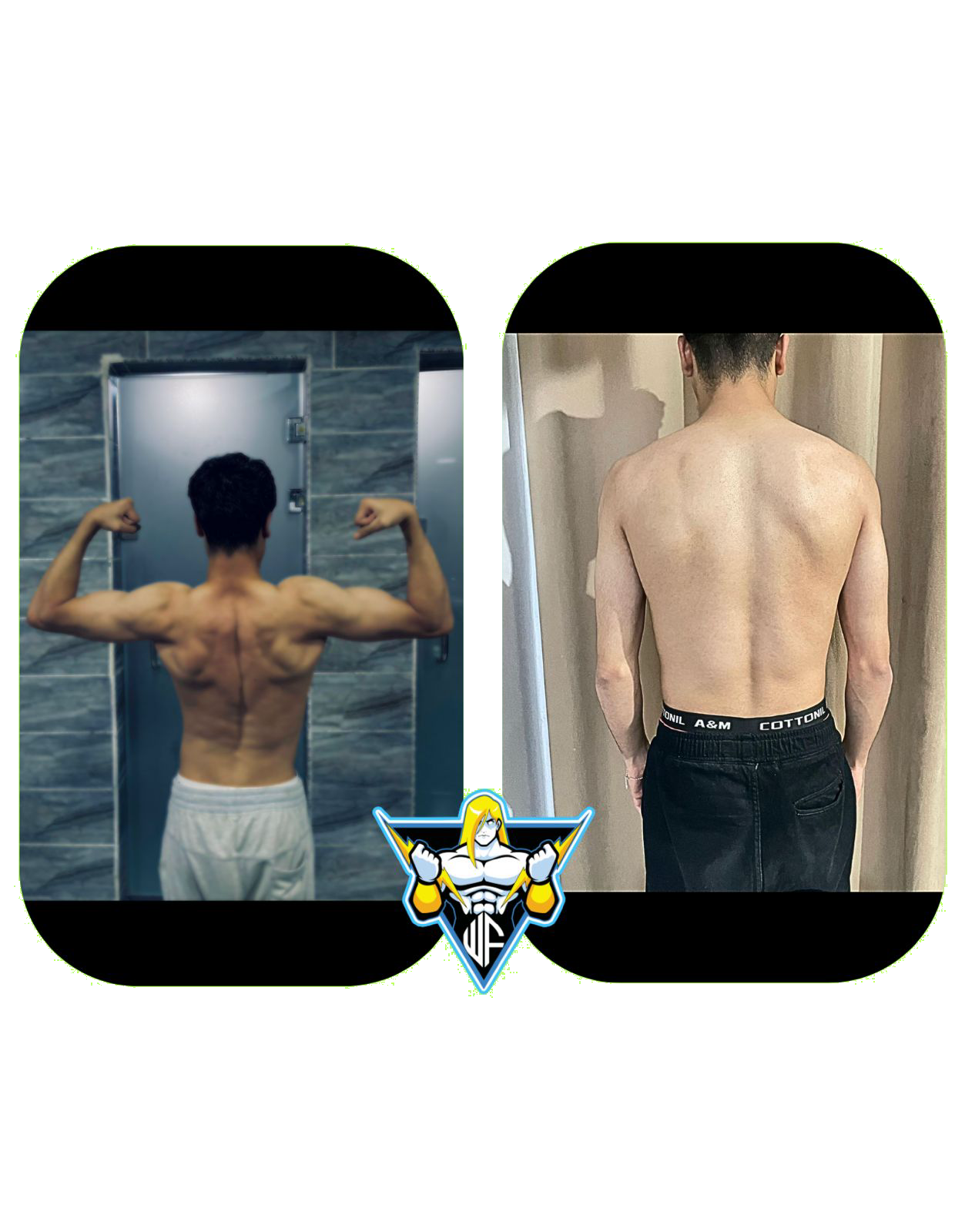 gempages_533918500628988698-8cf443de-9631-45a7-92fc-032ea9dbe0e2