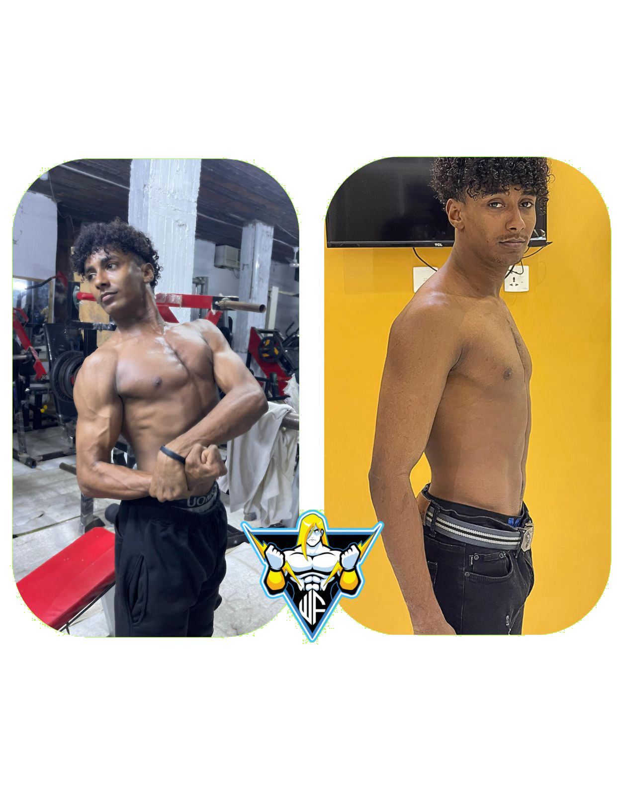 gempages_533918500628988698-b516090e-be27-4864-af11-7b9392b34ec2